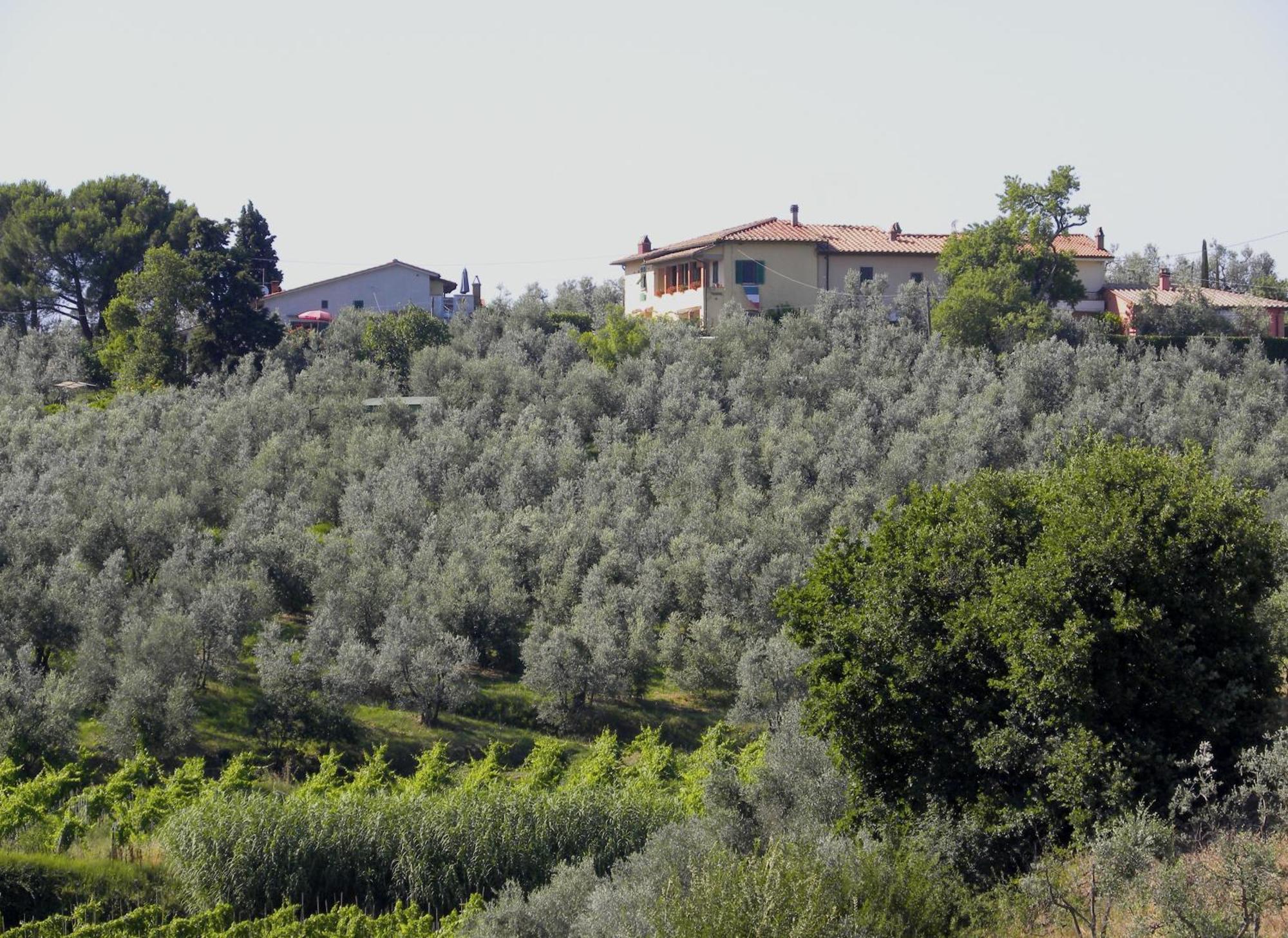 Agriturismo Podere Zollaio Vinci Room photo